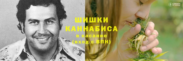 шишки Алзамай