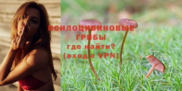 гидропоника Алексеевка