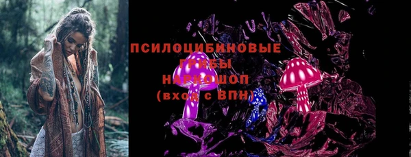 шишки Алзамай