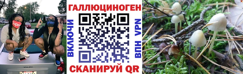 Псилоцибиновые грибы Magic Shrooms  shop как зайти  Когалым 